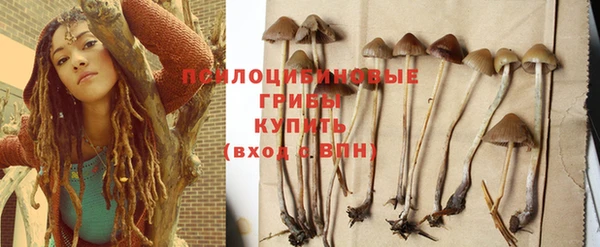 стафф Алзамай